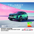 PEUGEOT VENDOME GROUPE BIGOT